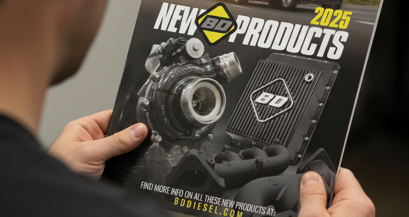 Catalogs & Flyers
