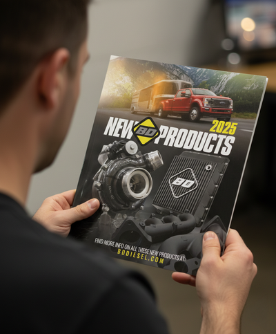 Catalogs & Flyers